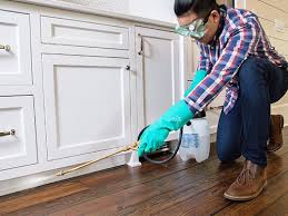 Best Residential Pest Control  in Carrollton, AL